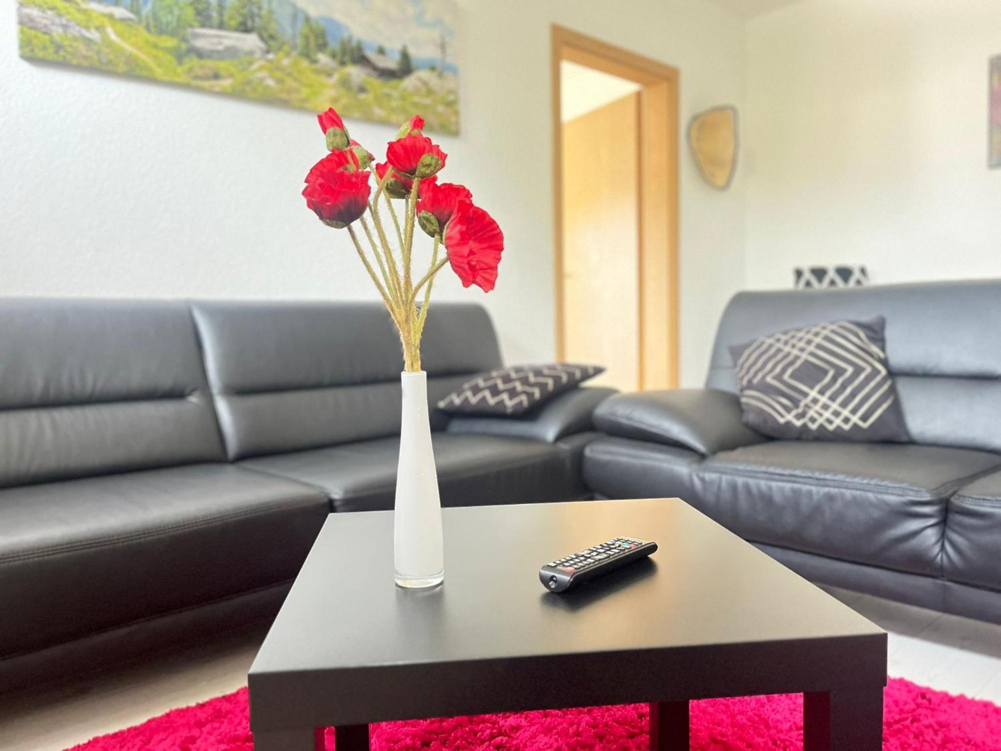Myhome Einsiedel An Der Zwoenitz 1 开姆尼茨 外观 照片