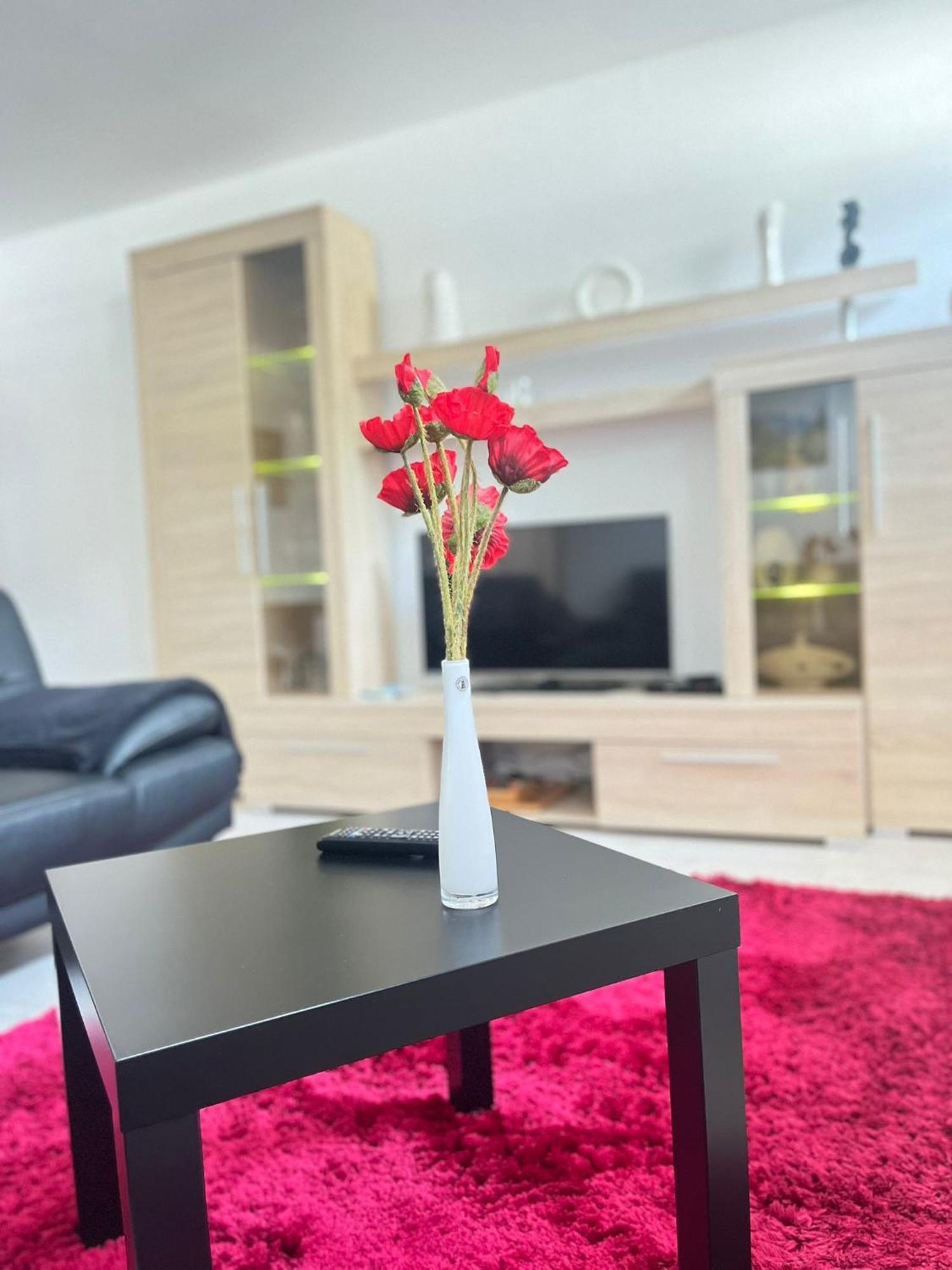 Myhome Einsiedel An Der Zwoenitz 1 开姆尼茨 外观 照片